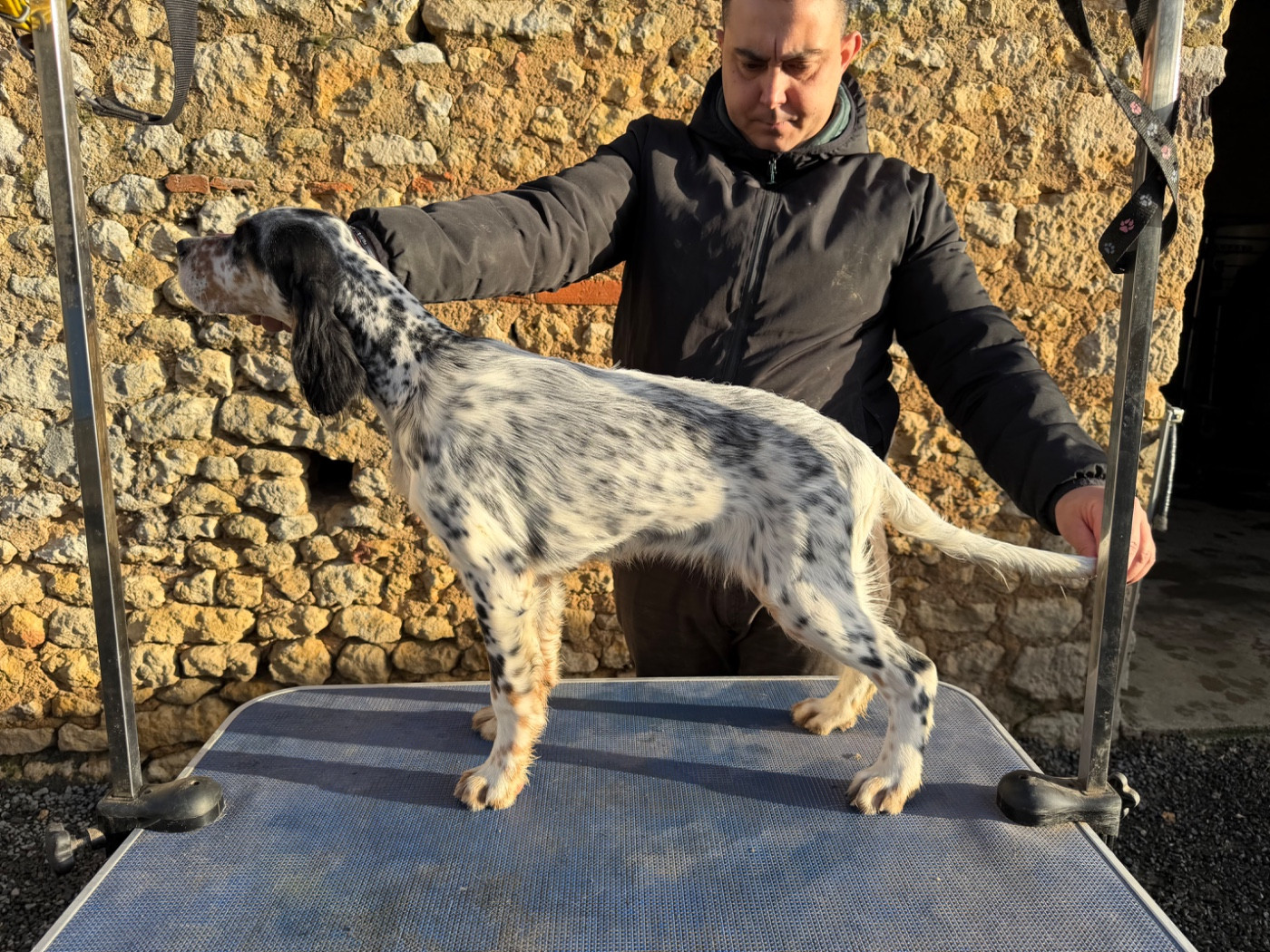 Abracadabra alma Du Fief Du Vent