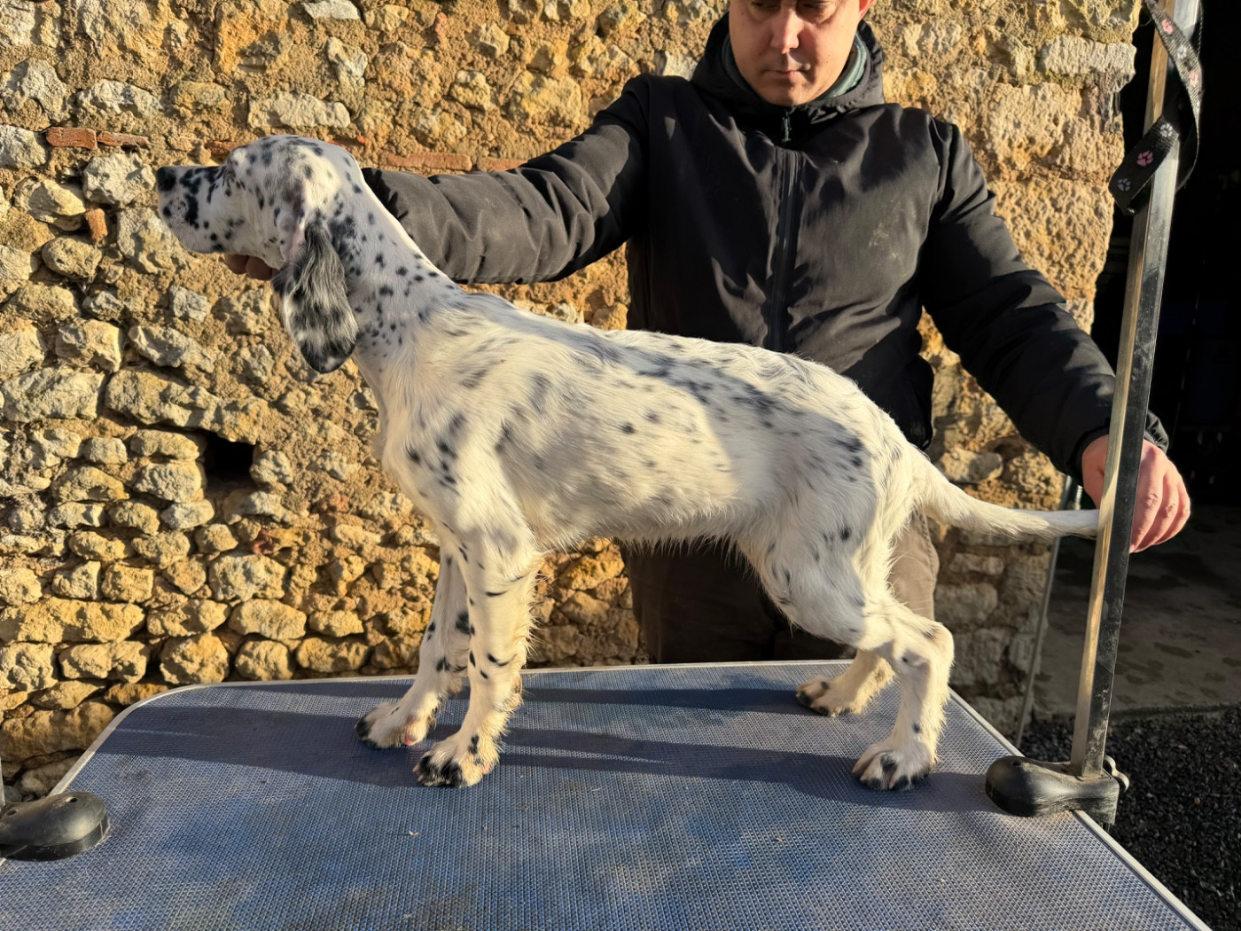 Arentxa Du Fief Du Vent